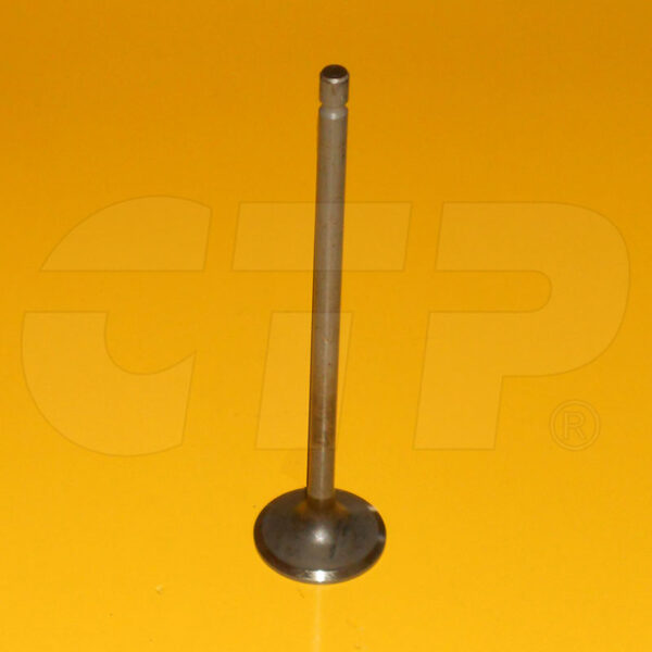 Intake Valve 320D